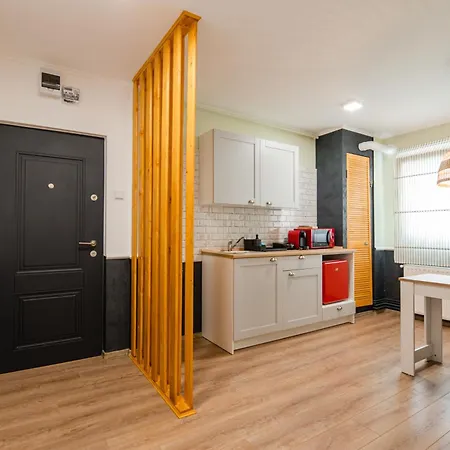 New Iorga3 Oldcity Selfcheckin * Temesvár