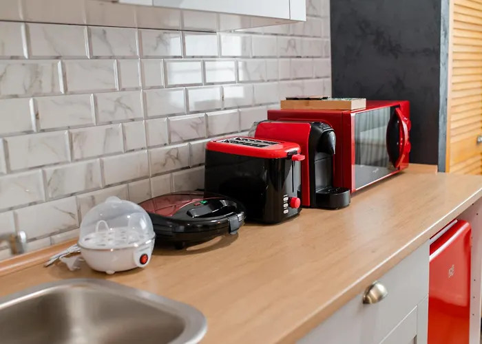 New Iorga3 Oldcity Selfcheckin * Timisoara