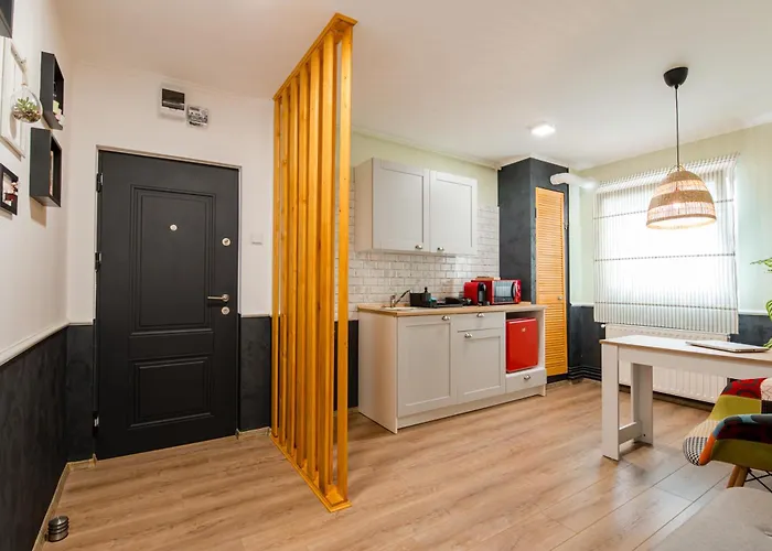 New Iorga3 Oldcity Selfcheckin * Timisoara